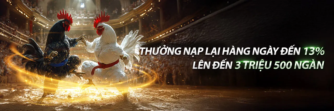 Đá Gà Trực Tuyến Wim678